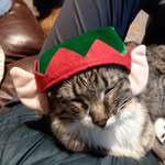 Pat Laird - @laird.pat45 - Instagram