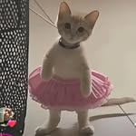@patlamarezmos - Instagram