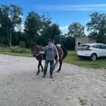 Patrick Lamarche - @patricklamarche1 - Instagram