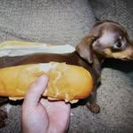 Patrick LaMarche - @lmagger_pat - Instagram