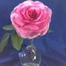 Pat Lambdin - Facebook