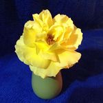 Pat Lambdin - @lambdinpat - Instagram