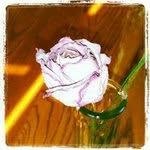 Pat Lambert Grant - @pat.lambertgrant - Instagram