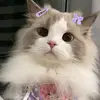 Pet World🐈 - @patland890 - TikTok