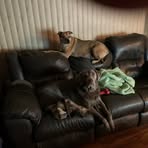 Pat Langan - Facebook