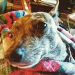 phcecil - @patricia.larrabee.94 - Instagram