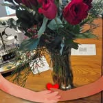 Pat Barnhard Larson - @patlarson1 - Instagram
