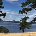 Pat Larson - @patclarson - Instagram