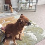 Pat Lavender - @pat.lavender - Instagram