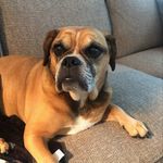 Pat Laverty - @plaverty123 - Instagram