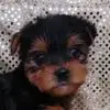 Pat Lawrence - @pat.lawrence5 - TikTok