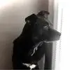 LeRoy Pat - @leroy.pat - TikTok