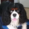 pat.leroy2000 - @pat.leroy2000 - TikTok