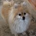 Pat Lightfoot - Facebook