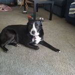 Pat Lightfoot - @lightfoot1965 - Instagram