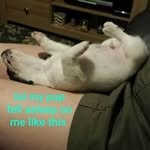 tia morgan - @louise_patch_llewellyn - Instagram