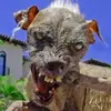 Pat Lloyd - @pat.lloyd - TikTok