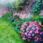 Pat Lloyd - @patl4506 - Instagram