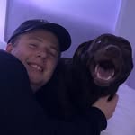 Pat Lyons - @lyonharte - Instagram