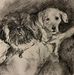 Patrick Lyons - Facebook