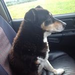 patmadigan - @patmadigan1973 - Instagram