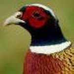 Pat Maher - @pat.maher.3194 - Instagram