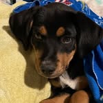 Mahomes - @_pat_mahomes_ - Instagram