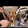 Patmann_ - @pat_man_ - TikTok