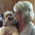 Pam Manley - @patm.anley - Instagram