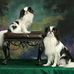 Pat Mann - Facebook