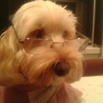 Pat Mannion - @pat.mannion41 - Instagram