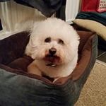 pat mannion - @mannionpat - Instagram