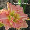 Mansfield's Daylilies - @pat.mansfield6 - TikTok