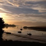 Pat Mansfield - @mansfield6029 - Instagram