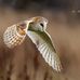 Pat Mansfield - Facebook