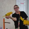 pattymansfield - @pattymansfield - TikTok