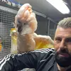 Patrizio🦜💙parrot - @patriziomarano - TikTok
