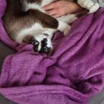 Patrizia Marchese - @patrizia.marchese.50 - Instagram