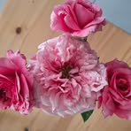 Patricia Marchetti - Facebook