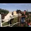 Patricia Marchetti - @patricia.marchett5 - TikTok