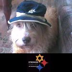 Lori Ann Pat Markey - @markburgh1 - Instagram