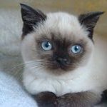 Pat Markey - @pat.markey - Instagram