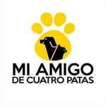 Mi Amigo de 4 Patas - @miamigode4patas_markham - Instagram
