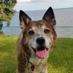 Pat Markham - @patmarkham546 - Instagram