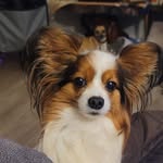 Pat Markham - @mark4kuiaolcom - Instagram