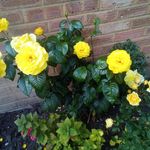 Pat Markham - @pat.markham1 - Instagram