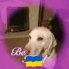 Pat Markland788 - @patmarkland788 - TikTok