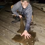 Patrick Markland - @wounded_falcon_1 - Instagram