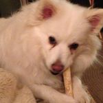 Pat Martel - @pcmartel - Instagram