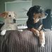 Patricia Martel - Facebook